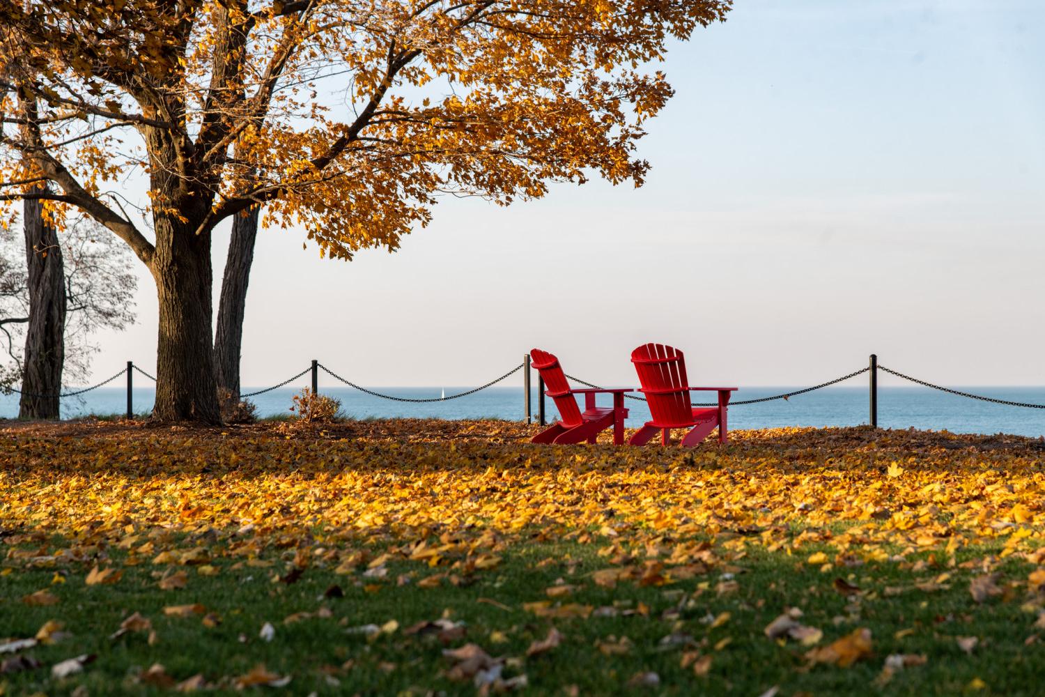 Our Midwest location means Carthage students get to enjoy all four seasons. Many students will say fall is their favorite.